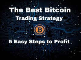 Cryptocurrency Trading Strategies for Maximum Profit