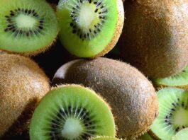 The advantages of solid living for Kiwis